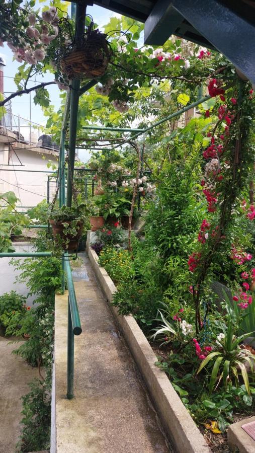 Relax Guesthouse Gjirokastra Zewnętrze zdjęcie
